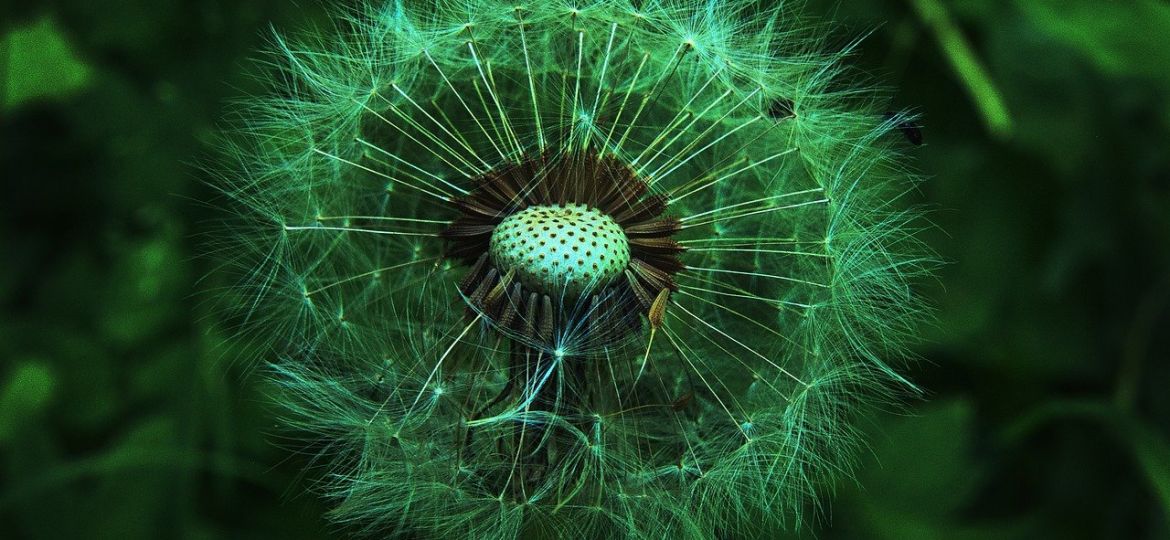 insurance_innovation_2026