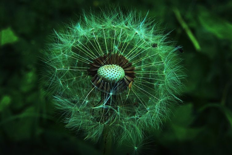 insurance_innovation_2026